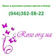 ЗАКАЗ И ДОСТАВКА ЛУЧШИХ ЦВЕТОВ И БУКЕТОВ В КИЕВЕ